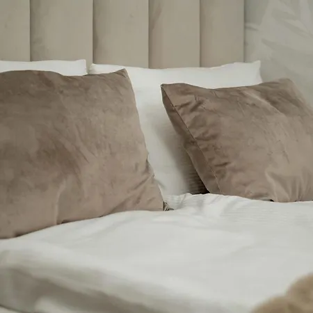 Elegant Mieszczanska With Air Conditioning, & Gym By Renters Prestige Apartman *